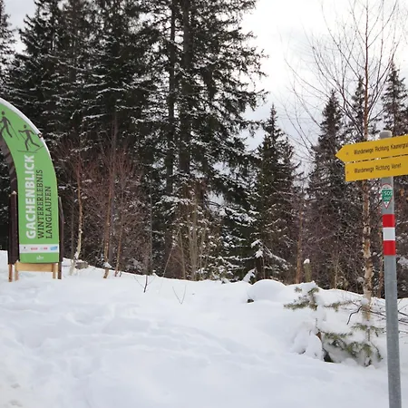 Jagdhaus Biedenegg By Interhome 弗利斯