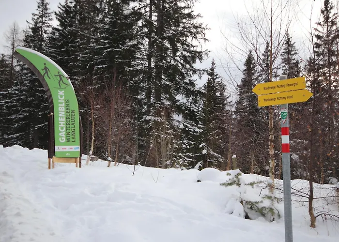 Jagdhaus Biedenegg By Interhome 弗利斯